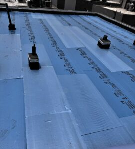 Read more about the article أفضل شركة عزل في السعودية: لماذا تختار “عالم التطويرية”؟